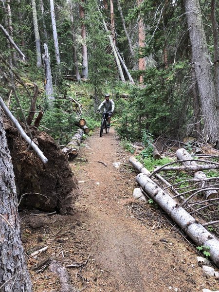 Sam is about halfway down the switch-backed singletrack descent through the forest that is the payoff for all the hard climbing that came before.