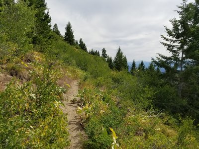 Final flat section of Alley. Just wild enough! Great views on the left (see next photo).