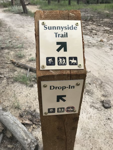 The Sunnyside vs. Drop-In decision point