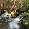 One of the many waterfalls on this trail.