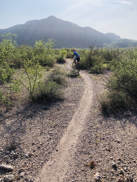 Blm club Los Mochis en San Carlos son.