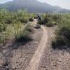 Blm club Los Mochis en San Carlos son.