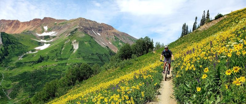 401 was the most vibrant wildflowers I've ever seen.