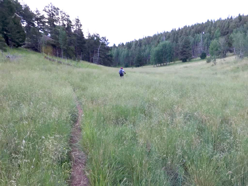 Descending Crowe Gulch