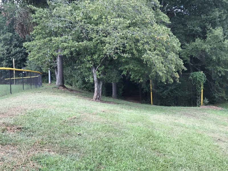 Trail entrance from the fields