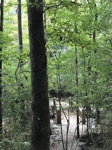 Bridge crossing before the trail begins