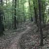 Long straight running parallel to a power line clearing.