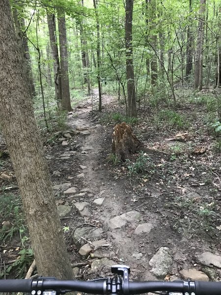 Downhill on rocky terrain.