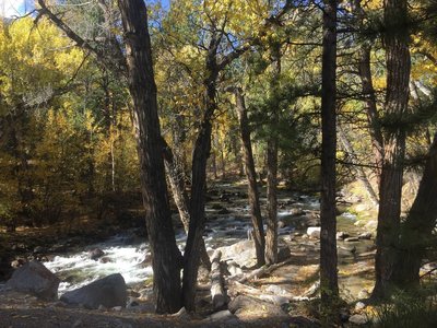 Cross the bridge over Chalk Creek to start.