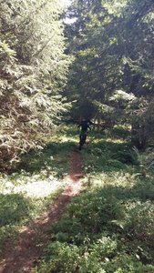 Prarion to Le Fayet