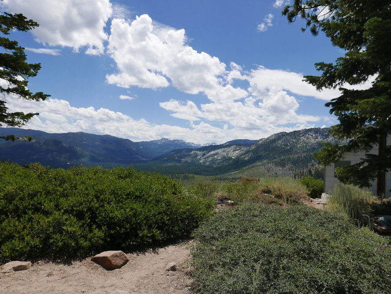 Top of Fallen leaf road