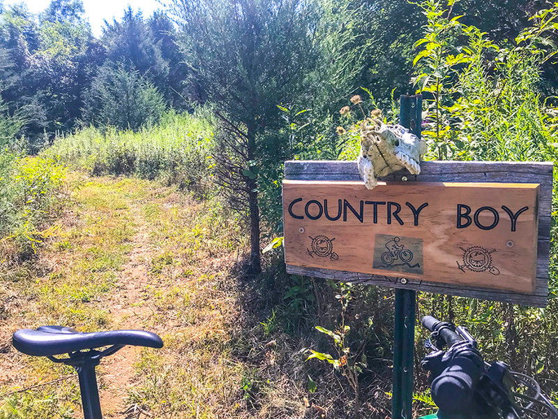 Sign art on the Orange Loop