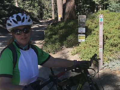 On Skyline Road (2N10) at the junction of 2N11 to Champion Lodgepole Pine, Lookout Point, Bluff Lake and other places.