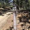 Skyline Road - Coyote intersection trail marker