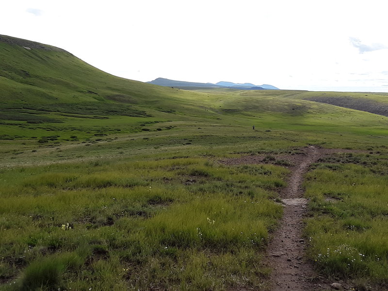 Trail across Snow Mesa is wide open cruising with some boggy dips.