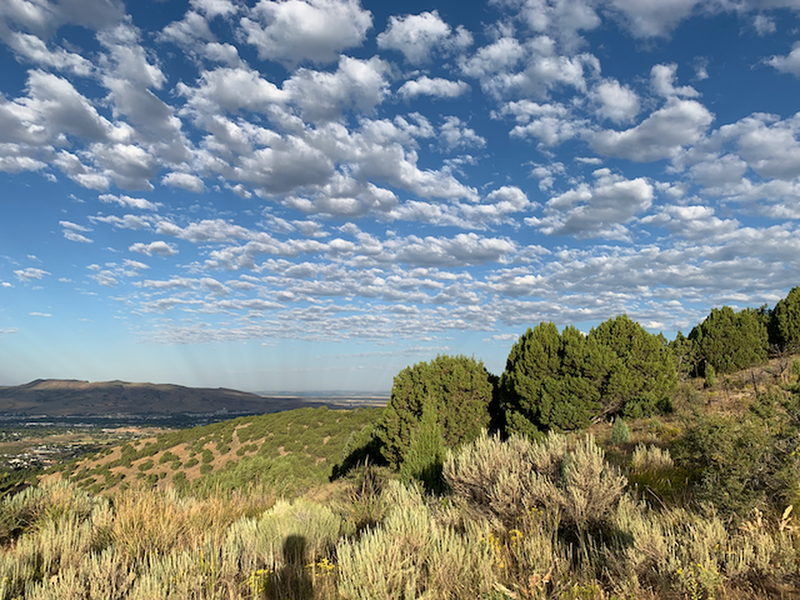 At end of Ravine, on trail called "What a View"