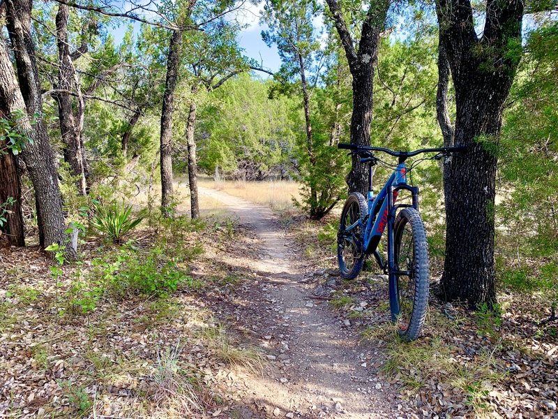 Fun time on Wookie Way trail.