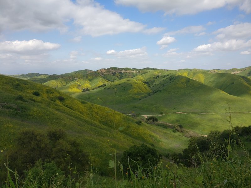 View from Scully Ridge looking east.