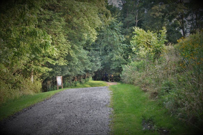 Top trailhead is at the top of the dirt path above the gravel trail behind the baseball fields, near Blue Slide Park and the Park staff parking lot.