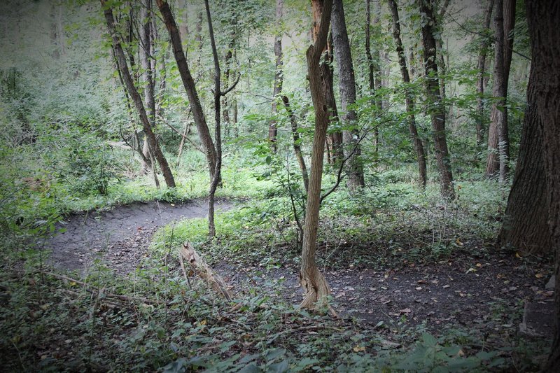 This is the second berm, seen from Jay's shortcut merge; it has a little step down rock edge to prevent gravel from eroding the berm.