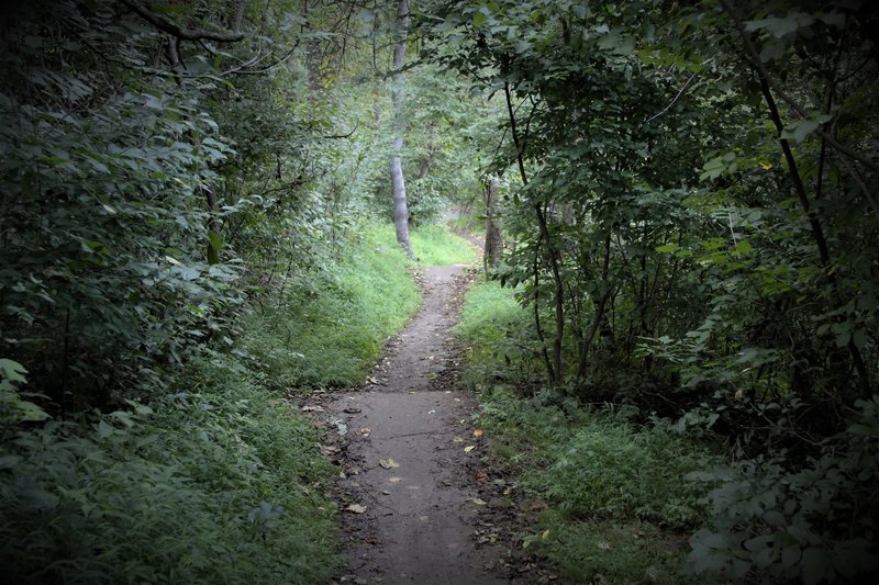 There are a number of speed controlling humps to mitigate water and prevent multi-user conflict. At just the right speed, you can avoid pedaling or braking before the next berm.