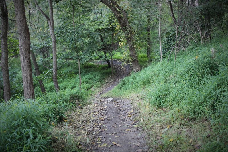 A rider can pick up speed after the uphill, leading into even more berms.