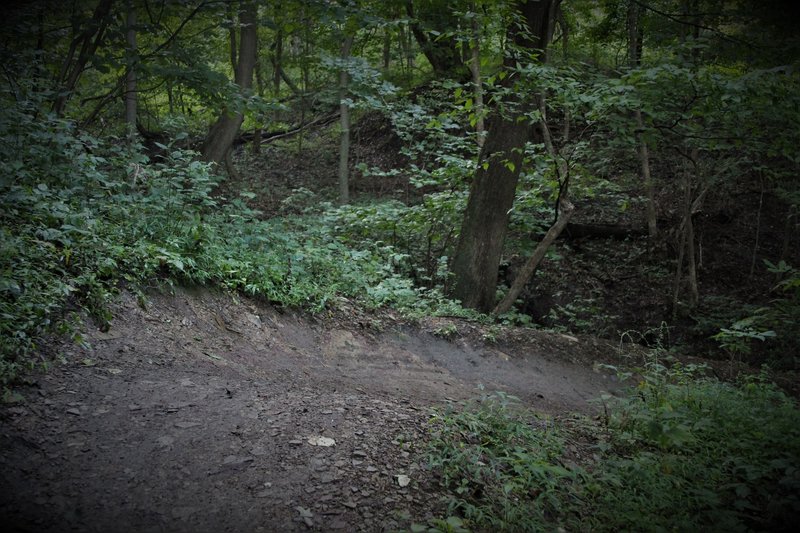 Another few berms, decreasing in radius as it gets nearer to a busy multi-user trail and parking lot. You'll want to slow down a bit, so plan ahead.