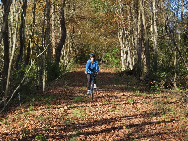 Beautiful autumn day on the trail