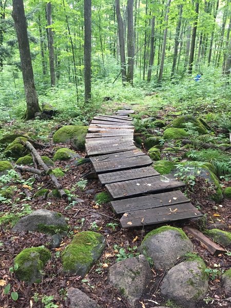 Short ladder bridge to get over some rocks.