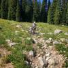 The upper sections of the trail are quite rocky.