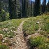 More rocks than dirt towards the top of Willow Creek.