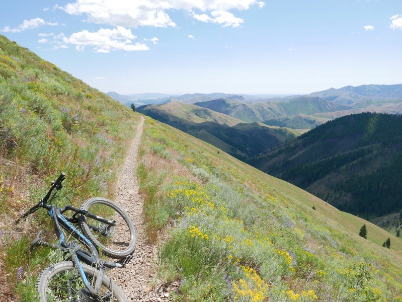 High alpine singletrack.