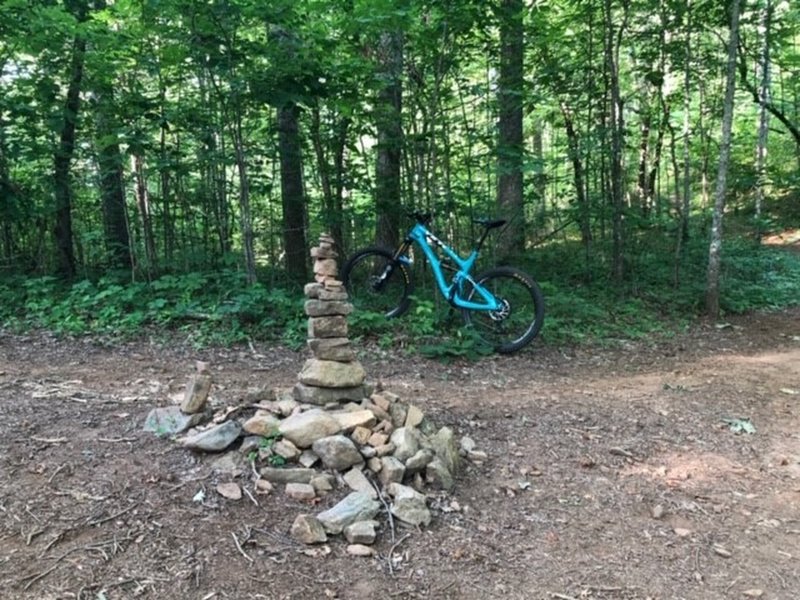 Junction of Yotee's Run and Burrell Cove trails.