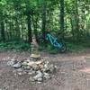 Junction of Yotee's Run and Burrell Cove trails.