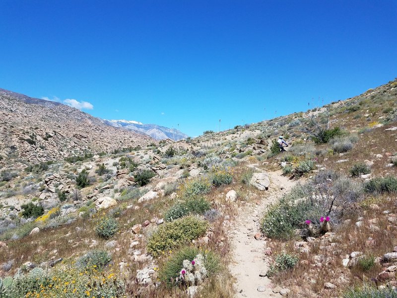 Near the trailhead--prepare for a bit of exposure!