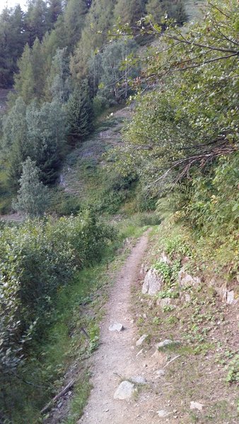 Le Peclerey downhill.