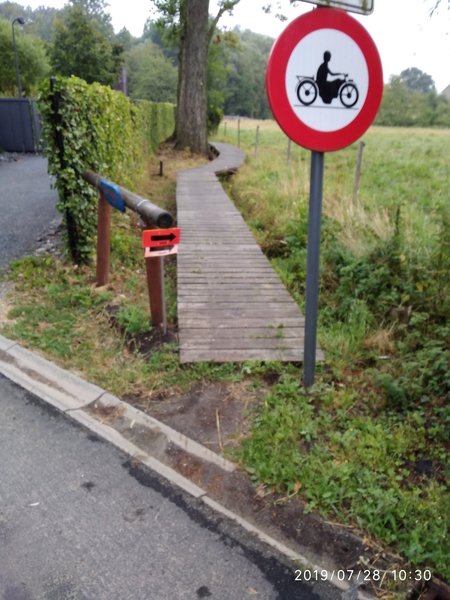 Technical trail on wood .