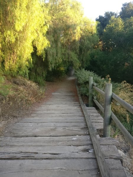 Wood boardwalk section.