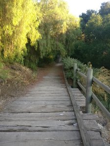 Wood boardwalk section.