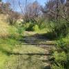 Las Virgenes Canyon year round spring