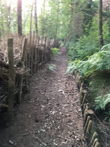Singletrack is narrow