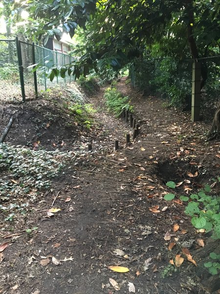 Singletrack photo