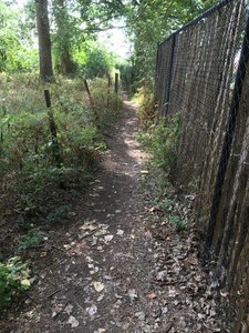 Sombeke trails
