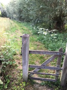 Gate for sheeps