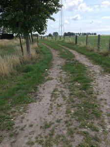 Sombeke tracks