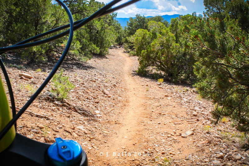 Typical terrain you'll find along the Talpa Traverse.