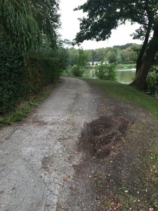Trail at Brusselse Forten.