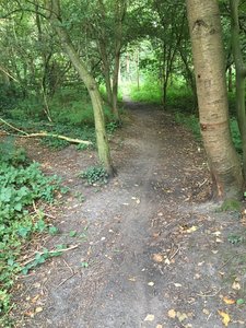 S track nr 2.