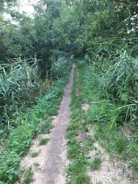 S track extension to Dender River.