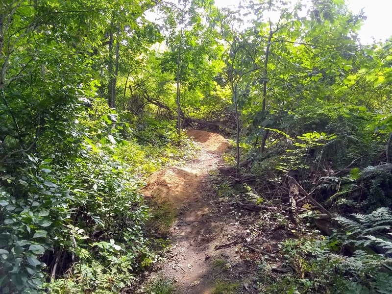 2 berms on the "peninsula" section.